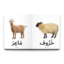 Load image into Gallery viewer, First Arabic Words - Set 4 (Five Books)
