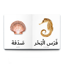 Load image into Gallery viewer, First Arabic Words - Set 4 (Five Books)
